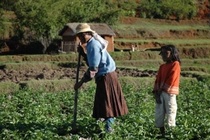 Cultivatrices malgaches