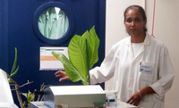 Janice Minatchy in the laboratory of the Plant Clinic © Cirad - Shannti Dinnoo